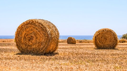 Rural farming farm