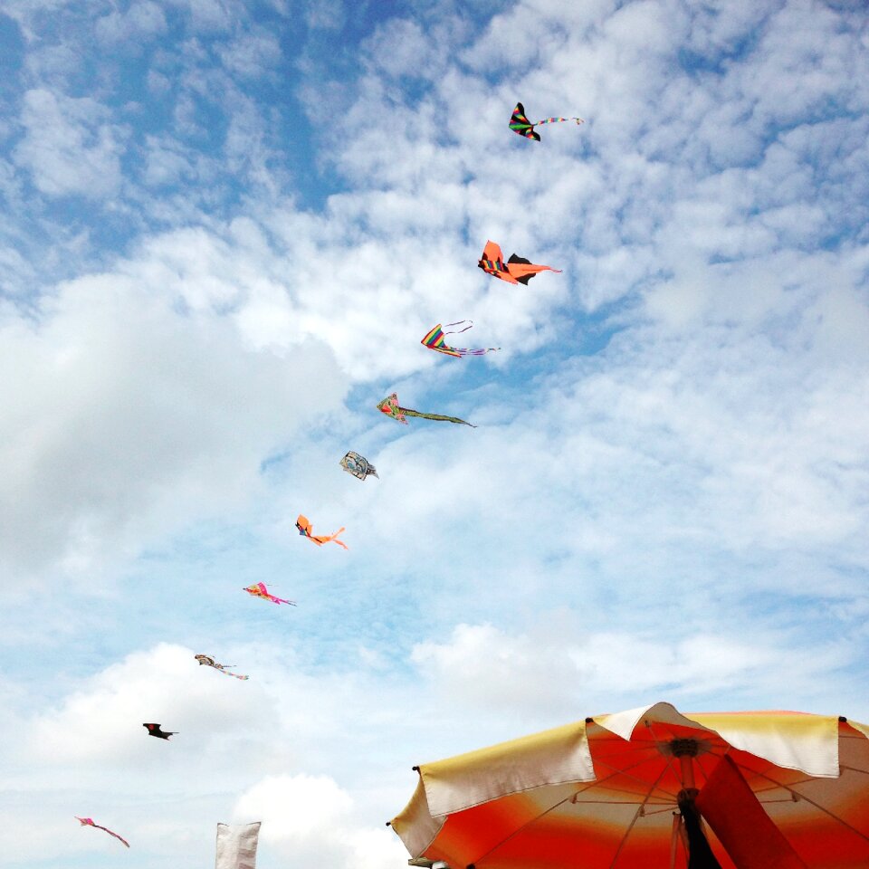 Flying wind summer