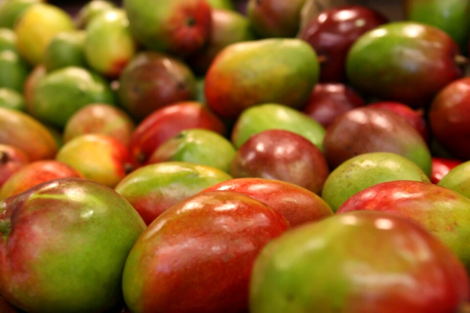 Food fresh ingredient