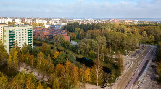 DJI_0408