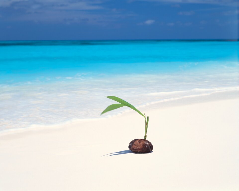 Sand sea seascape photo