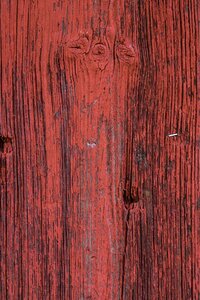 Texture wood weathered photo