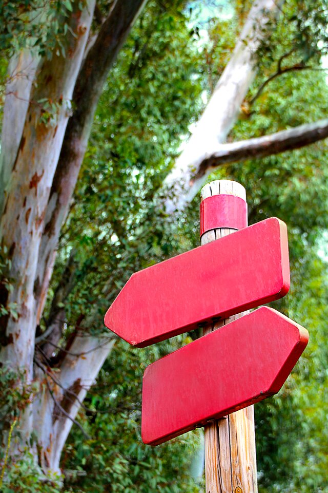 Direction waymarks decision