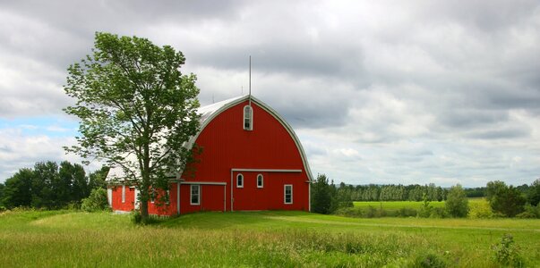 Rural farming country photo