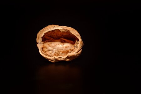 Open empty walnut close up