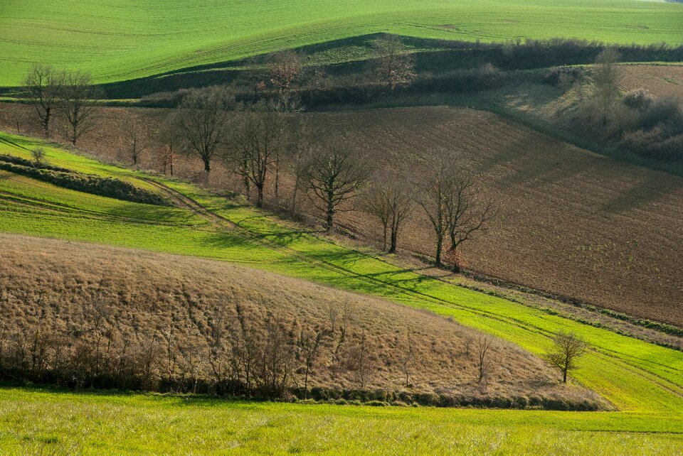 Fields prairie field