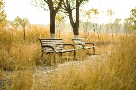 Bench park autumn