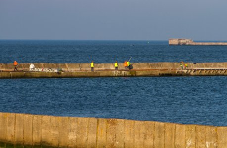 IMG_0718