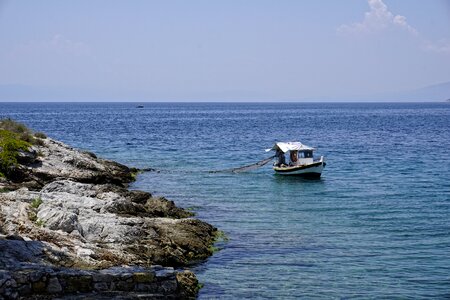 Coast sea fish photo