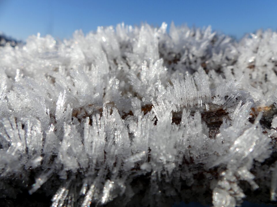 Cold frost macro photo