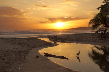 Waves costa rica photo