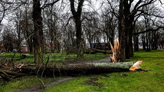 2020.gada 13.marts, Liepājā.