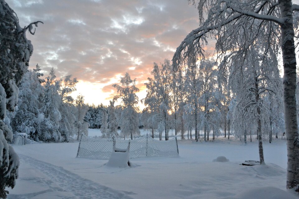 Wintry landscape snow photo