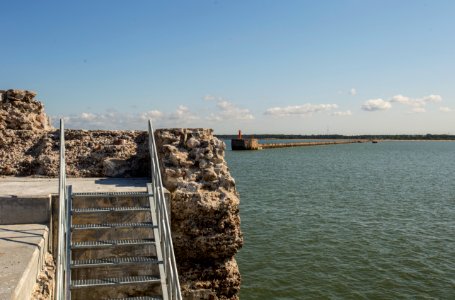 IMG_5026