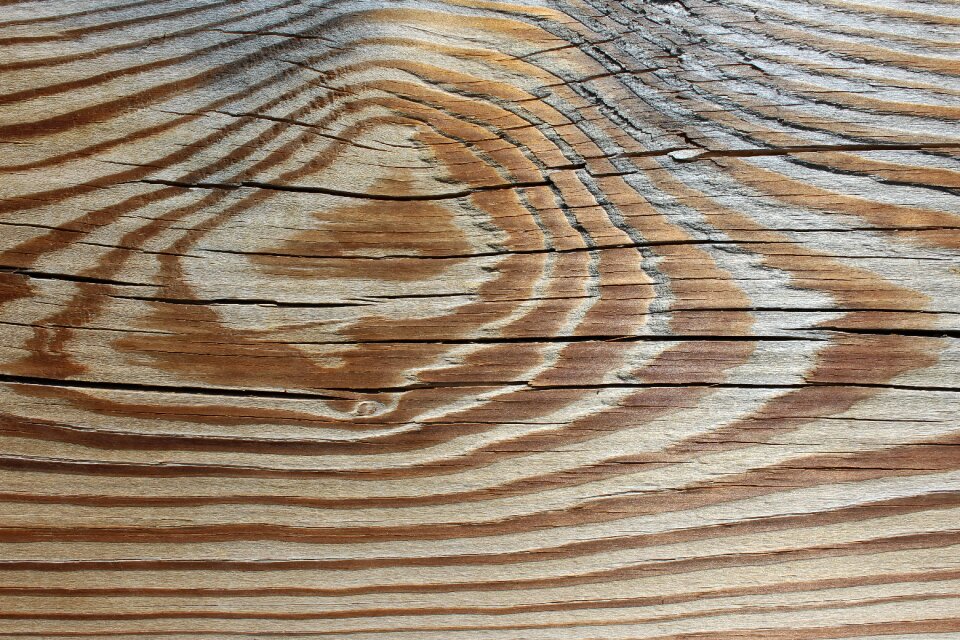 Wood texture wooden