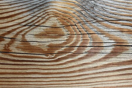Wood texture wooden