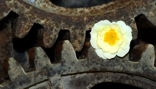 Iron old weathered