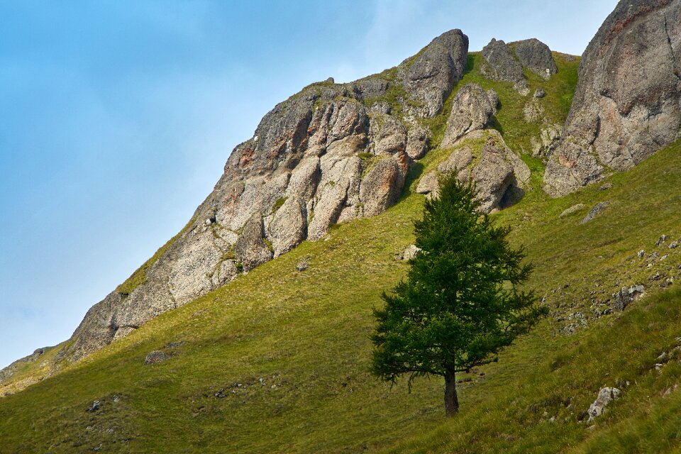 Nature rock alpine