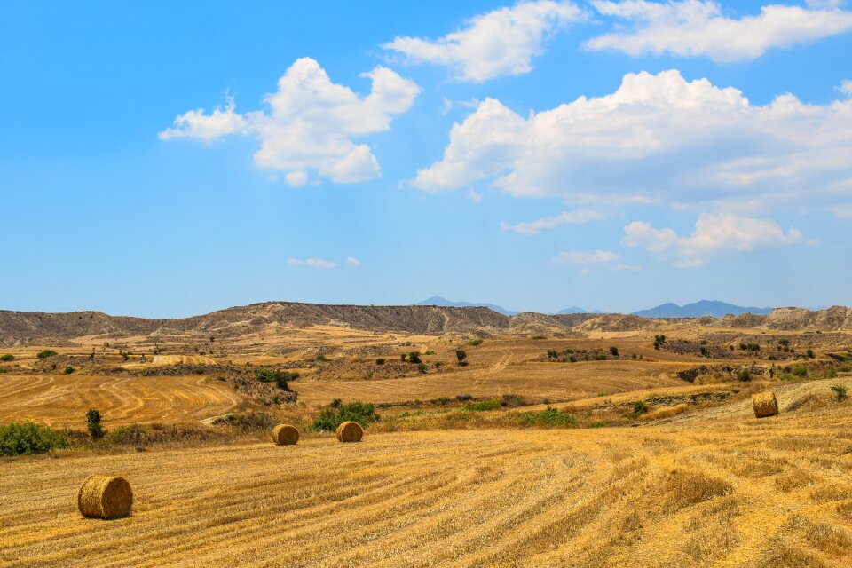 Agriculture rural farmland