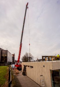IMG_9590