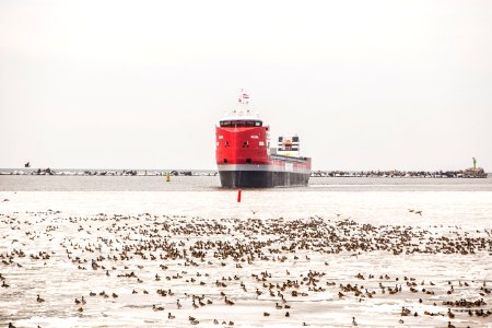 IMG_0524