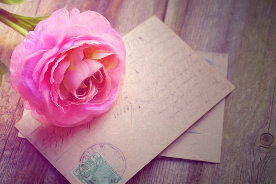 Picture postcards vintage rose wallpaper