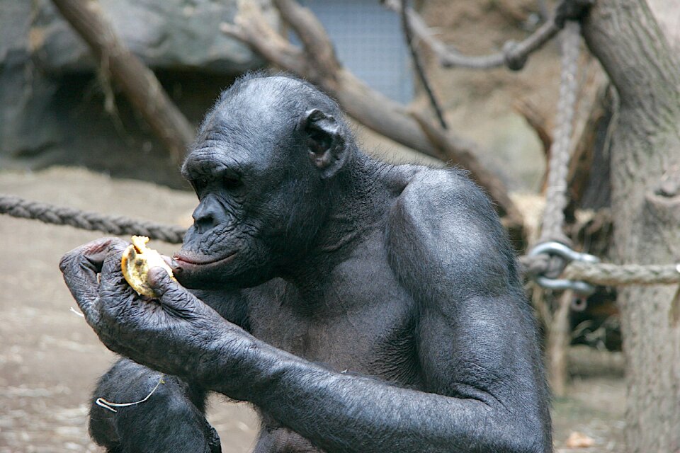 Eat philosophize thinking