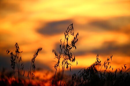 Evening sky sunset abendstimmung photo