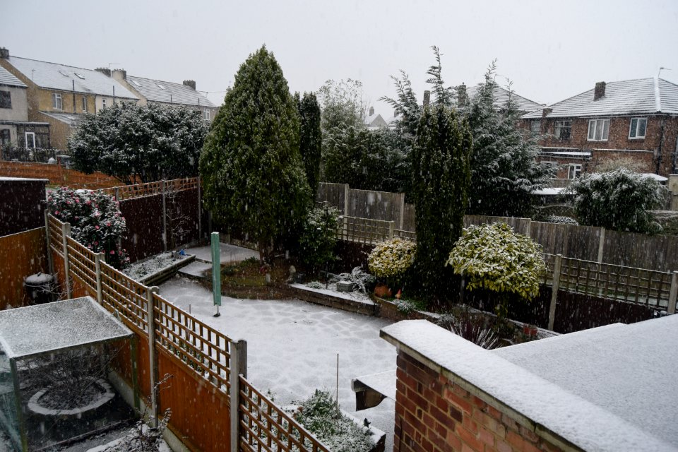 24th January 2021. We had our allotted snowfall for this w…
