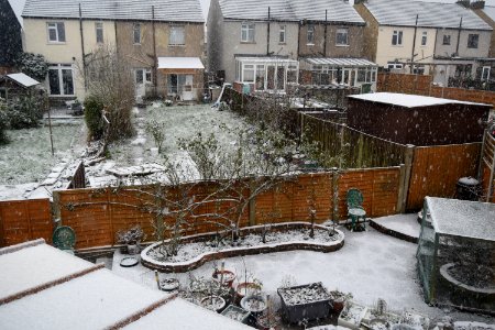 24th January 2021. We had our allotted snowfall for this w…