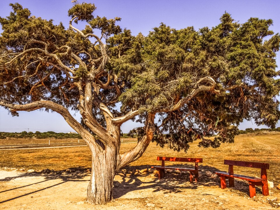Lonely landscape nature