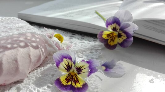 Flowers zephyr tenderness