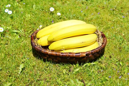 Food yellow healthy