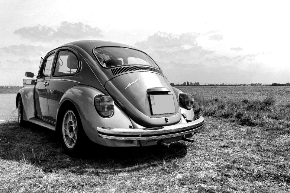 Black white nature oldtimer
