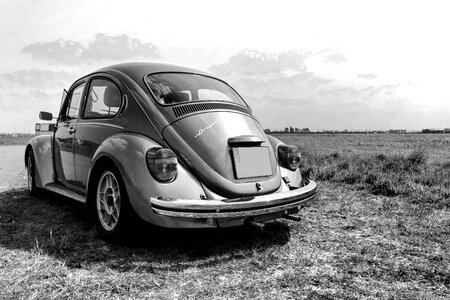 Black white nature oldtimer