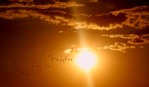 Sun sky red