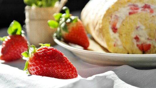 Bisquitrolle cream cake
