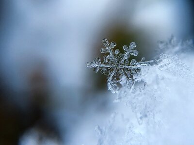 Snow crystal cold macro photo