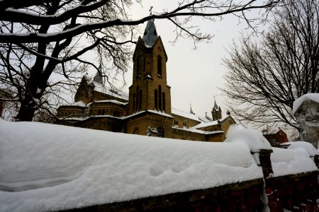 _MG_0239