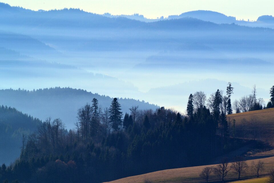 Nature hill mystical