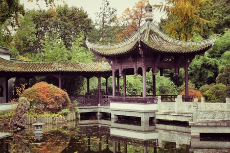 Calm environment asian