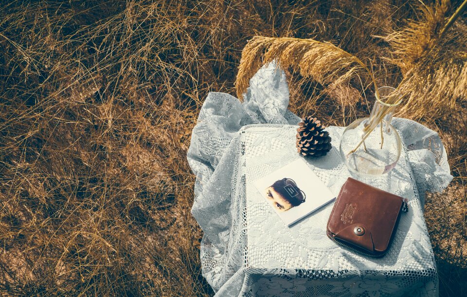 Pinecone book reading
