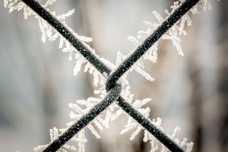 Winter ice cold
