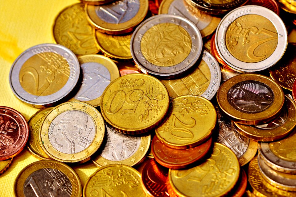 Euro specie loose change