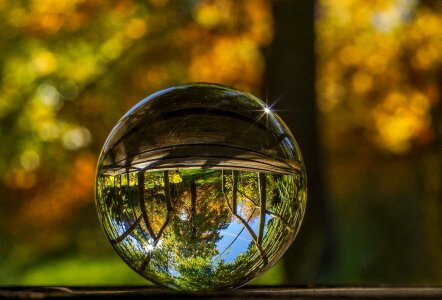 Crystal ball globe image mirroring photo