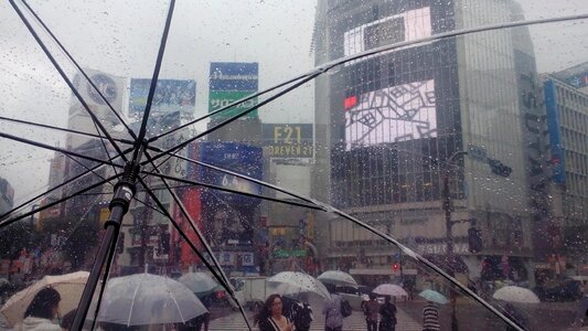 Rain umbrella transparent photo