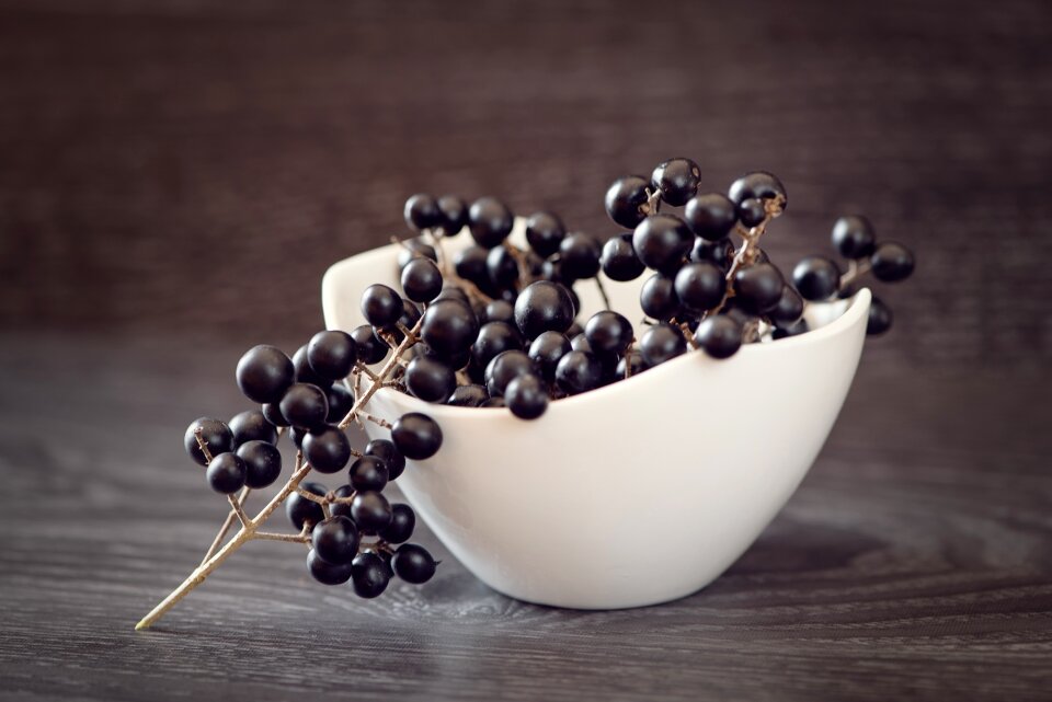 Privet-berries bowl close up photo