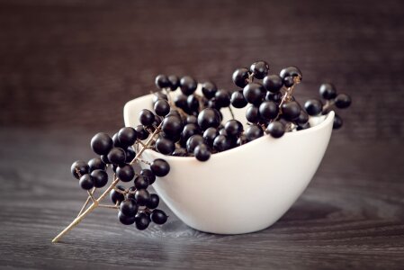 Privet-berries bowl close up