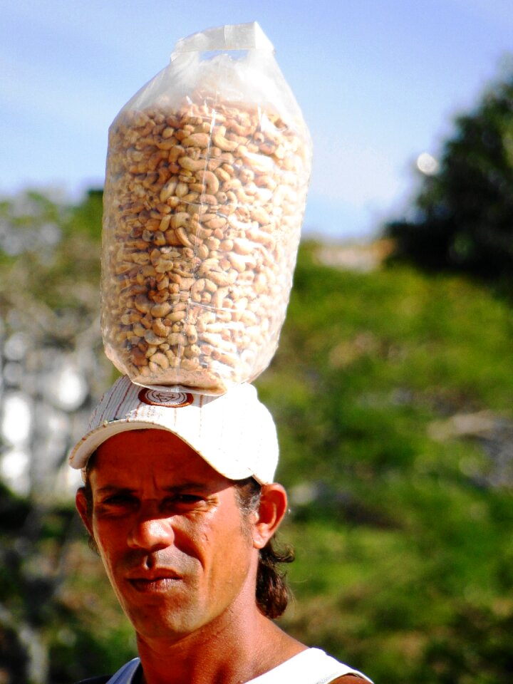 Head fruit brazil