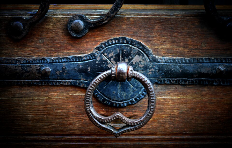 Thumper wooden door art nouveau